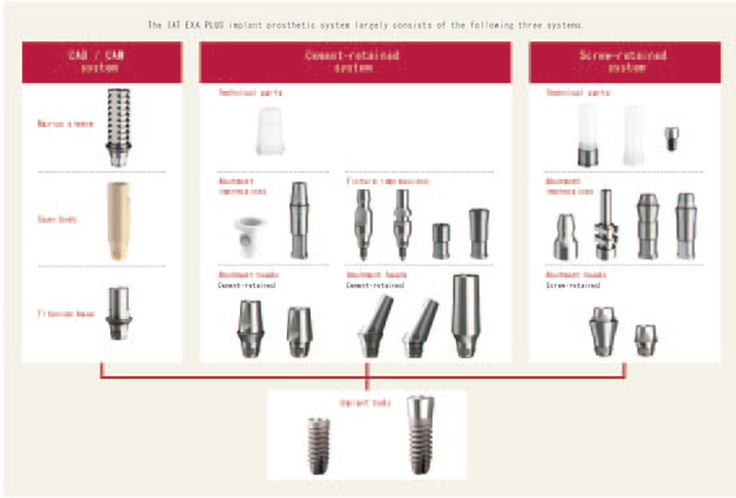 Prosthesis Flow Chart